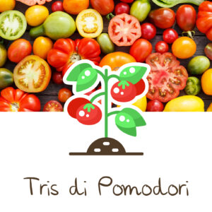 coltivare pomodori in vaso_ortinbox