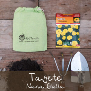 tagete nana gialla-sementi italiane di qualità-fiori edibili ortinmente